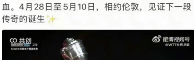 樊振东“自愿退赛”的背后真相！